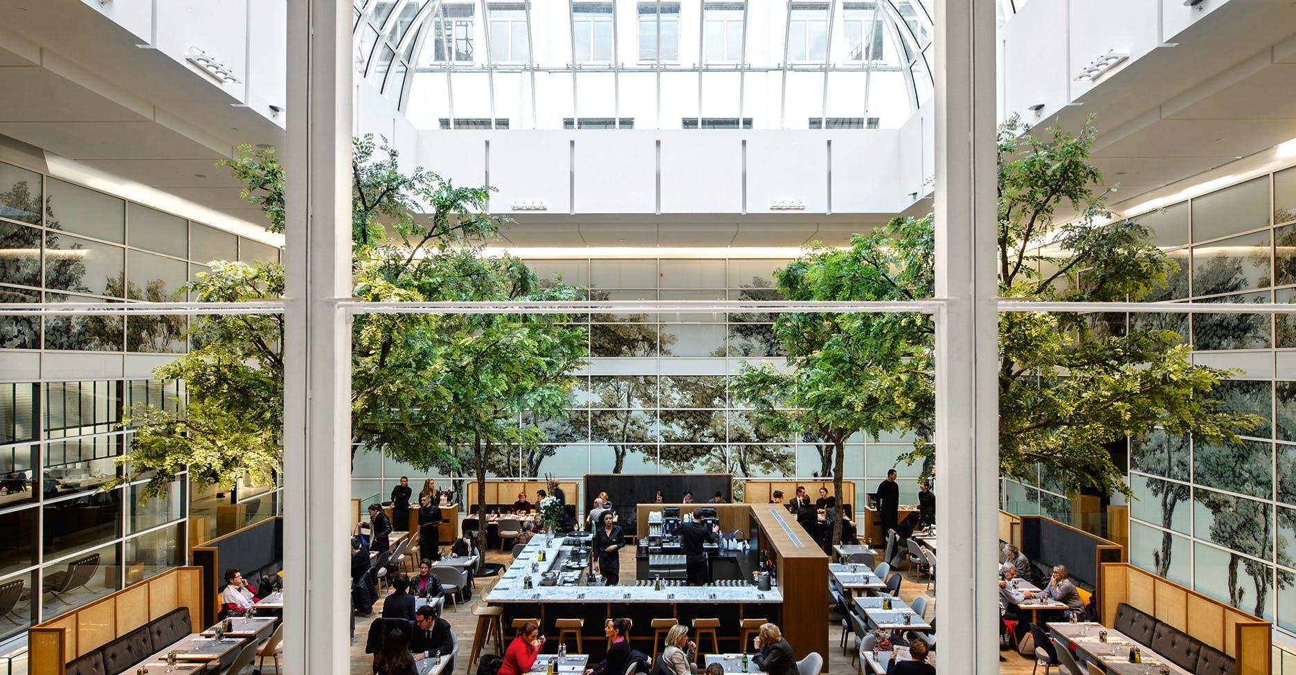 restaurant person human indoors cafeteria library book room