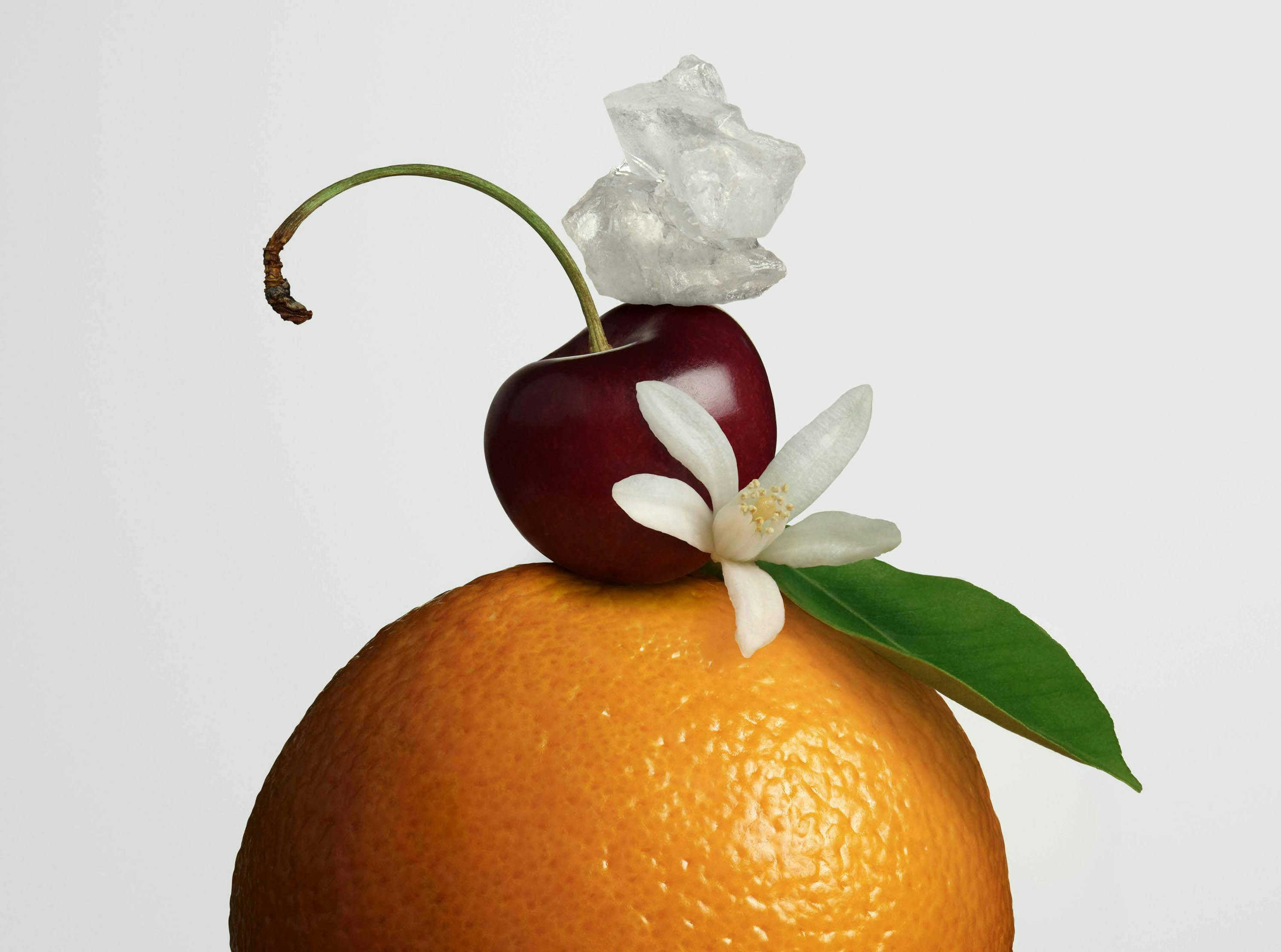 plant citrus fruit fruit food grapefruit produce