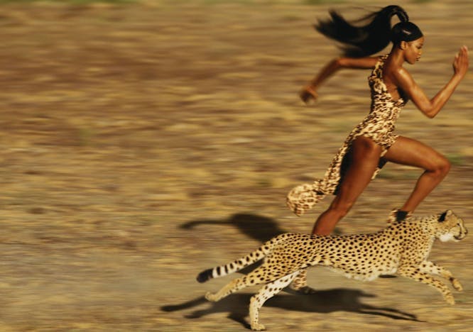 person human cheetah mammal animal wildlife panther leopard jaguar