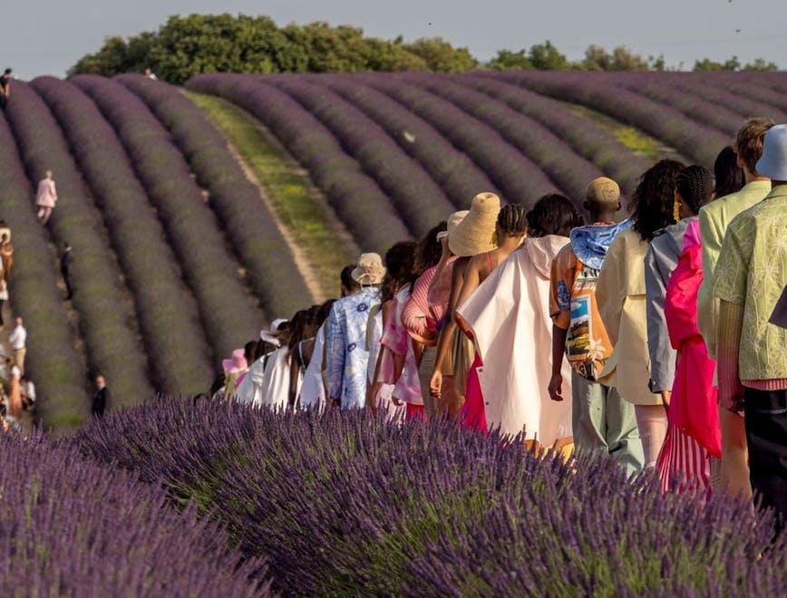 plant person human lavender field outdoors