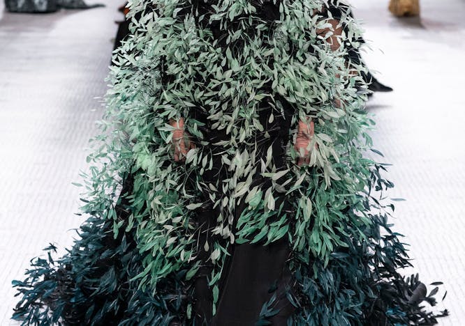 clothing apparel person human tree plant coat