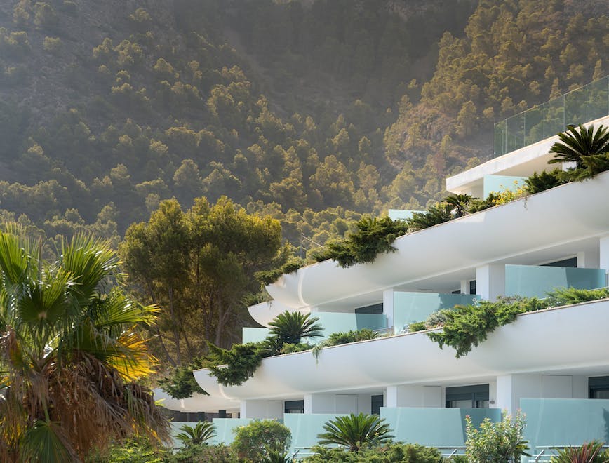 summer building hotel palm tree plant tree resort nature outdoors villa